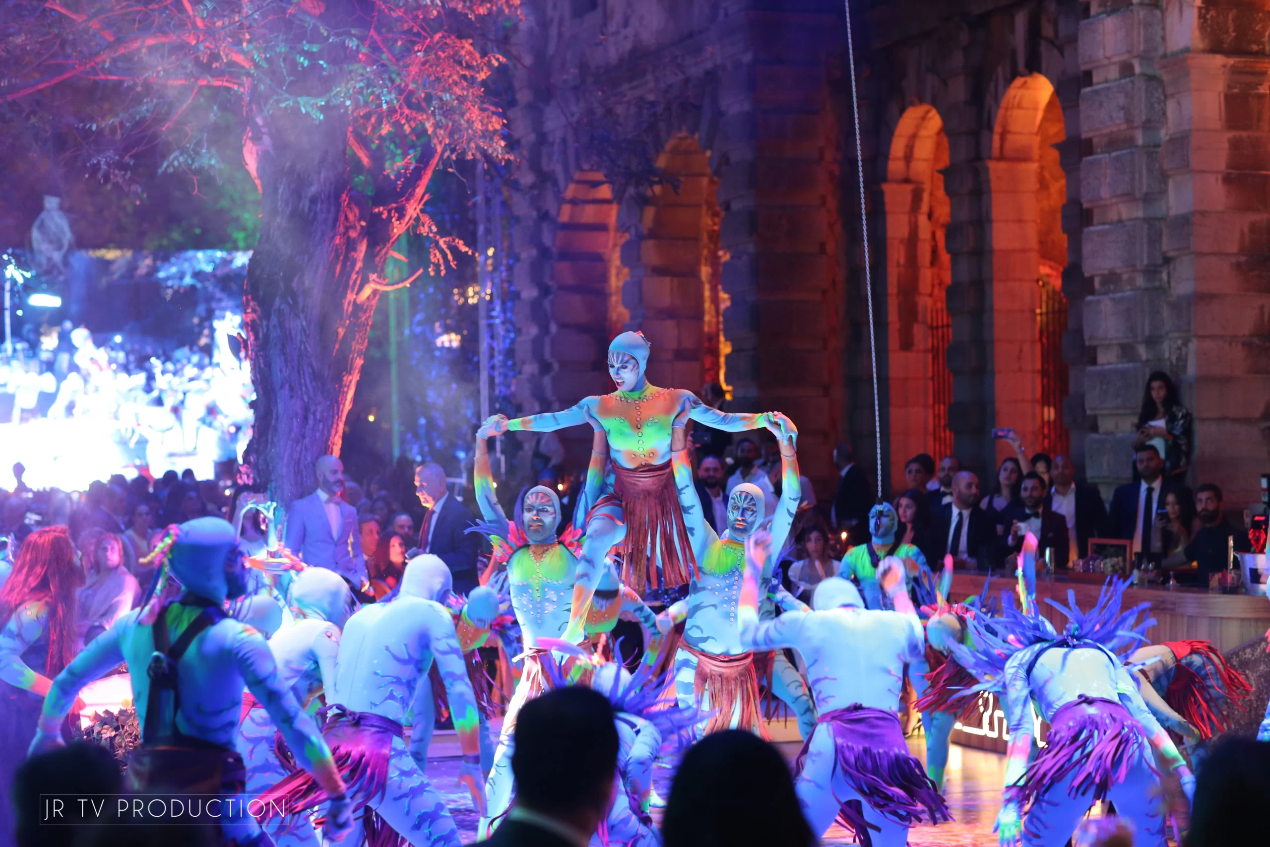 Wedding performance 6